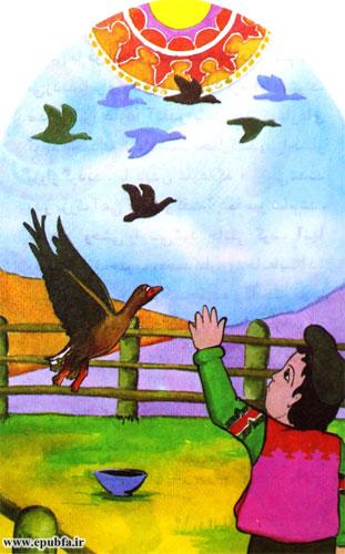 غازهای وحشی با فریادهای خود بقیه غازها را هم صدا میزدند